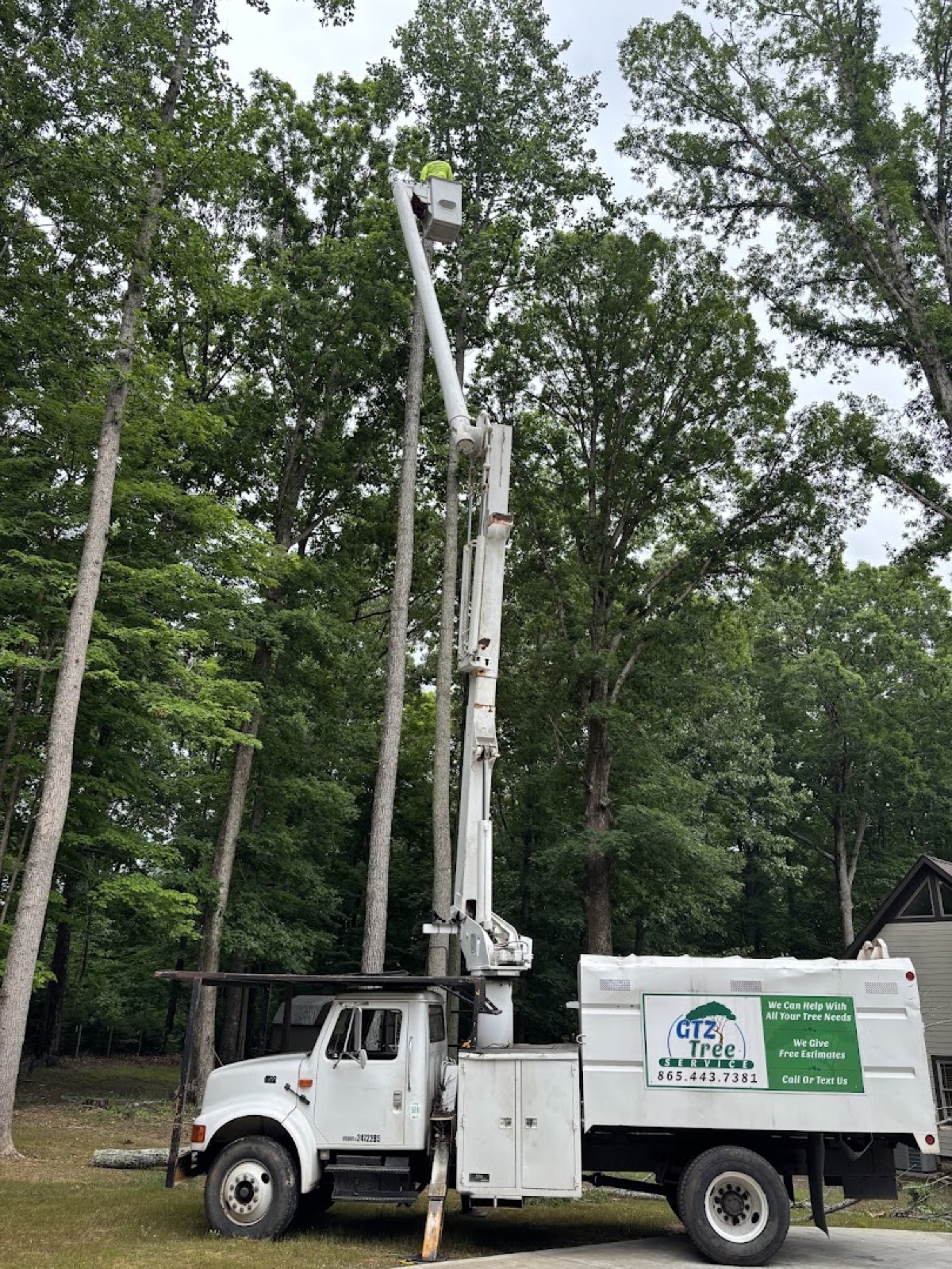 A GTZ bucket truck reaching storm-damaged limbs in Knoxville