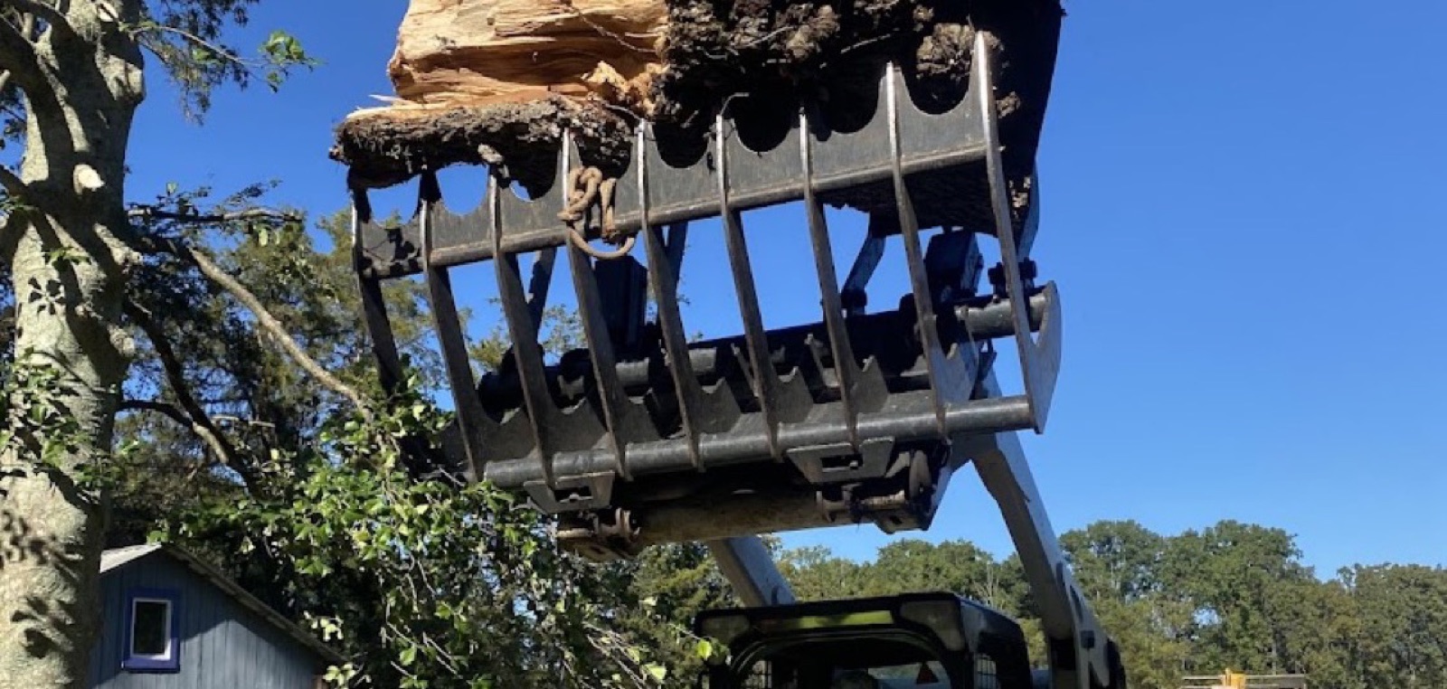 A GTZ Tree Service skid steer grapple lifting a cut log