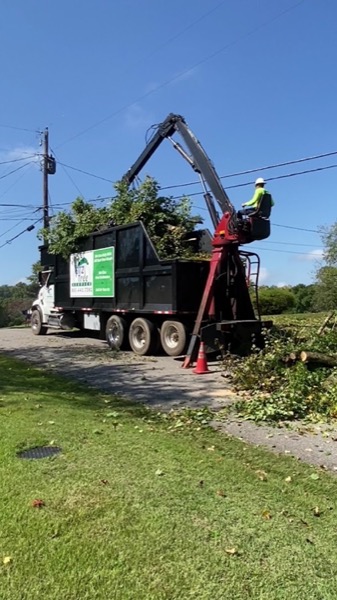 GTZ Tree Service green grapple truck loaded on a Knoxville job