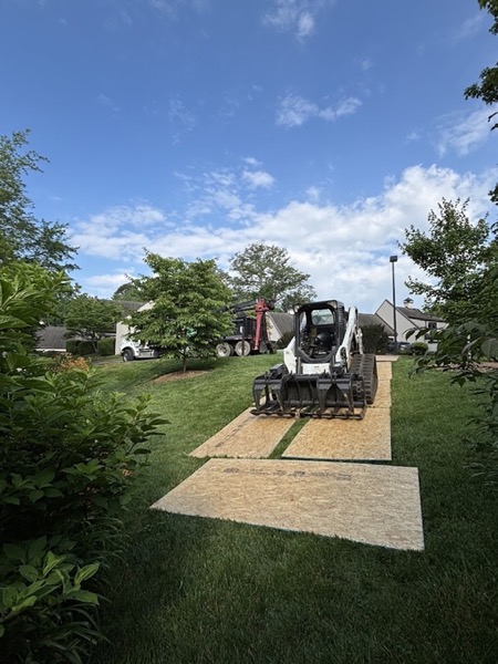 A Knoxville home cleared of overhanging limbs