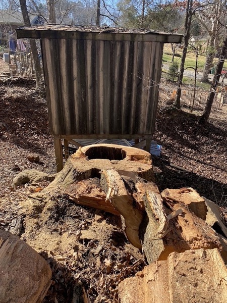 Freshly ground stump on a residential property